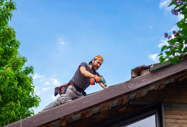 Best Roof Maintenance  in Ammon, ID